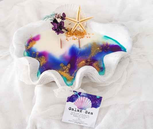 Galax-Sea Clam Candle - Large