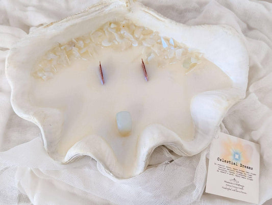 Celestial Dreams Clam - Small